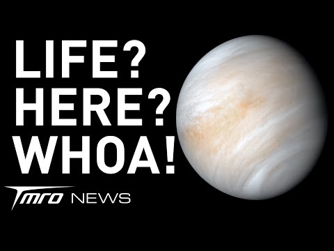 Life at Venus? | TMRO:News Special