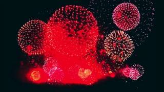 Adventure Island by David Garrett