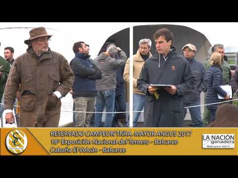 20-09-17 Campeonato Ternera Mayor - La Nación Ganadera 2017 - Balcarce