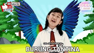 Download lagu Terbaik || Lirik Lagu Burung Tantina || cover by Ceo Jati Atmodjo mp3