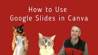 How to Use Google Slides in Canva