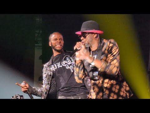 BOUNTY KILLER BRINGS OUT DEXTA DAPS ELEPHANT MAN JUNIOR REID & MORE