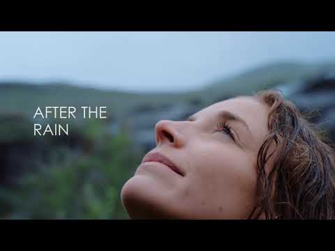 The Work Mindfulness Project  video.