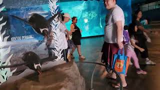 Its the bird park at Mandai  Singapore
