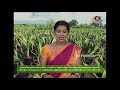 PON VILAIYUM BHOOMI மாத்தியோசிச்சேங்க 23 07 2020