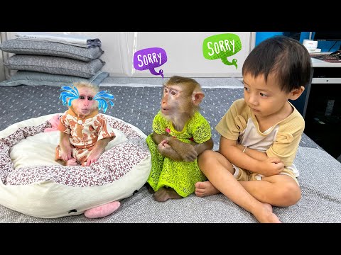 Monkey Kaka and DIem Express Remorse for Making Monkey Mit Sad