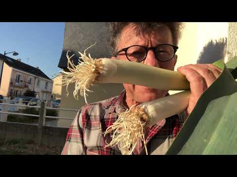 La porail et la poume