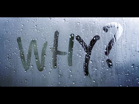 Wetter: Die aktuelle Vorhersage (13.11.2018)