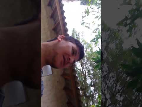 Alexandre está ao 🔴 VIVO