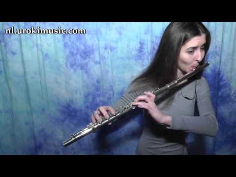 Fluit Leren Spelen Shakira Waka Waka Cover Fluitles Studie Klasse Muzieknoten Bladmuziek  Melodie Cu