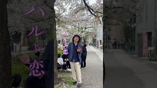 ♪ハルよ恋 - Spring brings love