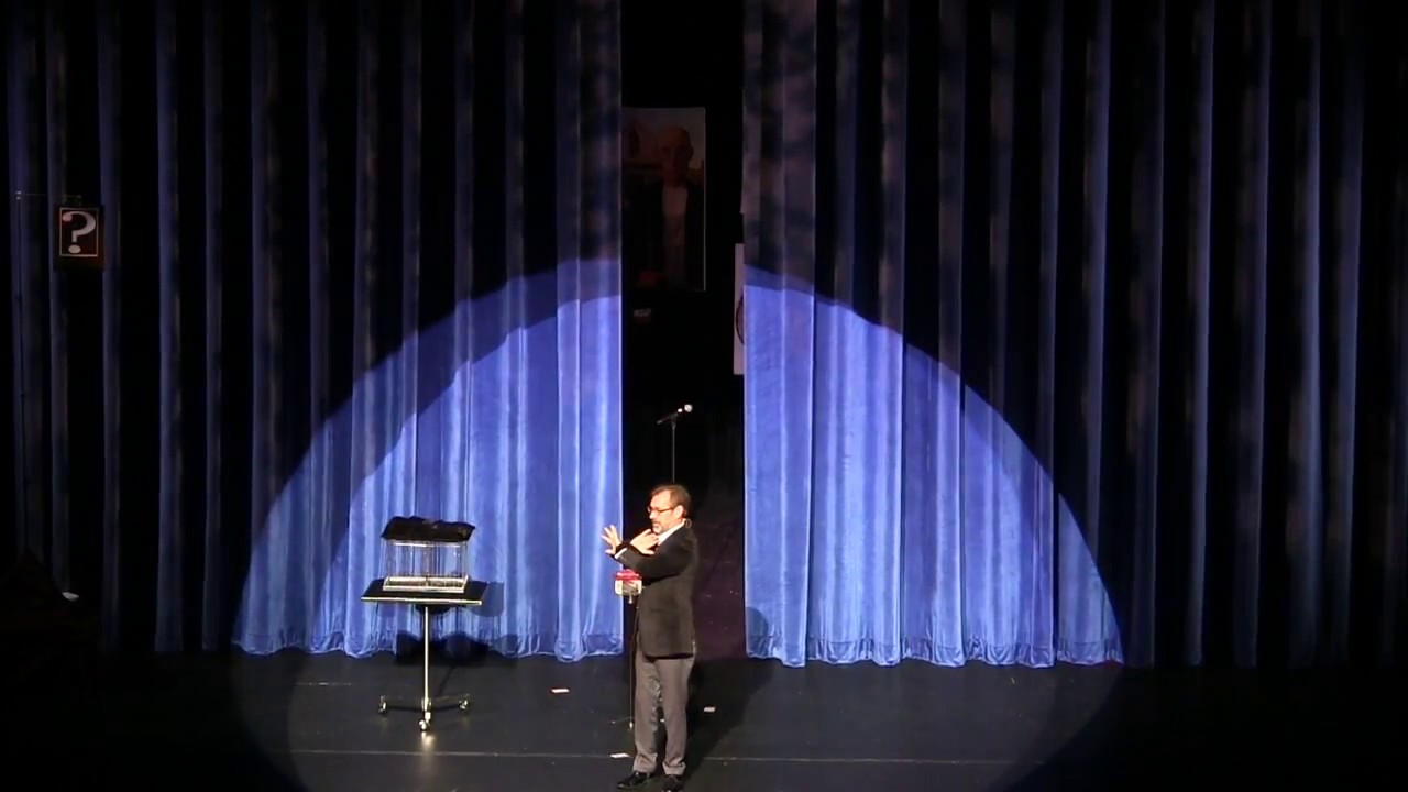 Promotional video thumbnail 3 for Magic & Comedy of Randall Eller