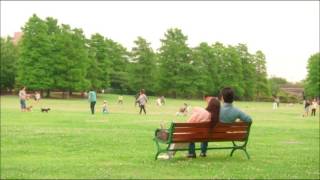 Cana-あなたとずっと　はぴまり〜Happy Marriage!?〜