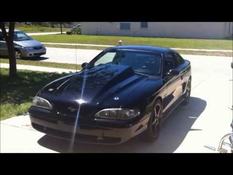 Mustang vid