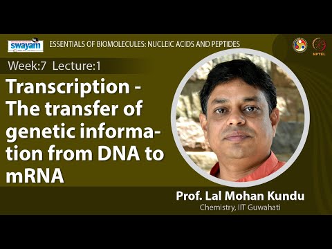 Essentials of Biomolecules Nucleic Acids and Peptides