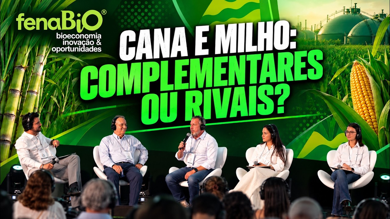 Cana e milho - Complementares ou rivais?