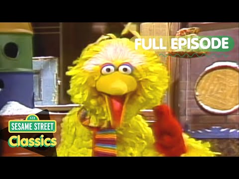 Big Bird Pretends to Be a Penguin | Sesame Street Classics Full Episode