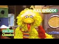 Big Bird Pretends To Be A Penguin Sesame Street Classics Full Episode