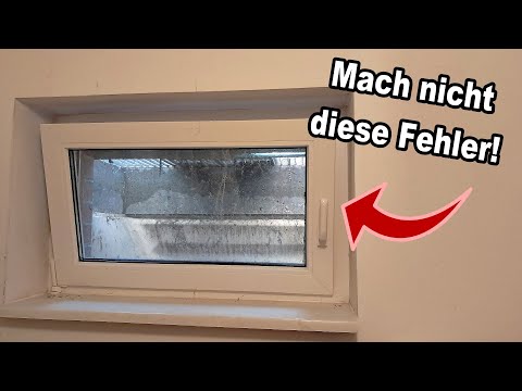 Keller richtig Lüften - Diese typischen Fehler solltest du unbedingt vermeiden!
