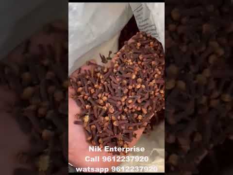 Natural whole long dry cloves