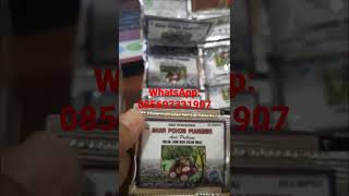 Download lagu Kapsul Akar Pohon Manggis Asli Original isi 40kapsul untuk asam urat, rematik dan pegal linu mp3 Download lagu Kapsul Akar Pohon Manggis Asli Original isi 40kapsul untuk asam urat, rematik dan pegal linu mp3