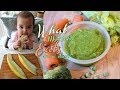 What my VEGAN 8 MONTHS OLD Baby Eats in a day ? [ BLW ]