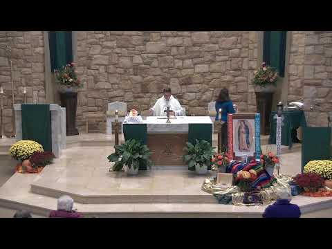 Missa diária às 8h00 - 9 de novembro de 2023