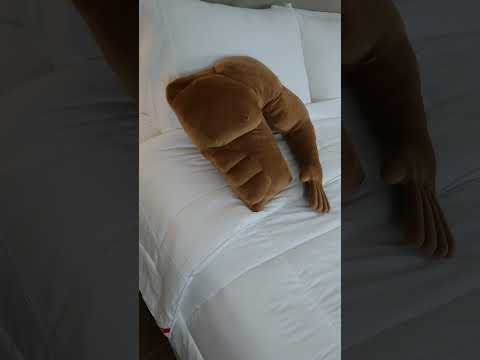 WHY am I only seeing these now? 😫 #bed #bedroom #lifehacks #amazon #shorts