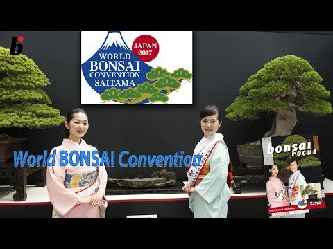 The Master speaks, Masahiko Kimura