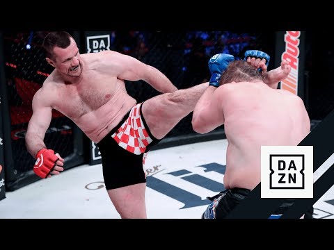 Mirko Cro Cop vs. Roy Nelson | FIGHT HIGHLIGHTS |
