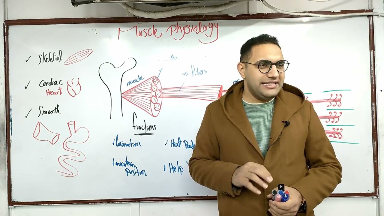 Muscle Crash course -1