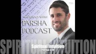 Ari Goldwag - Pinchas - Spiritual Intuition