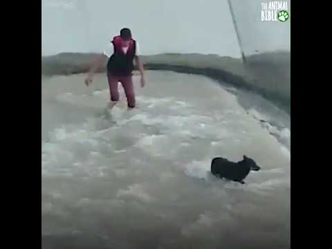 Humanity at its Best