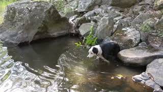 Frank's End Splashing About (December 2019)