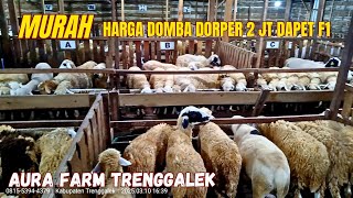 Download lagu 2JT DAPET DOMBA DORPER F1, PAKET BREEDING DOMBA MERINO, AWASSI, dll❤️🔥❤️🔥 mp3 Download lagu 2JT DAPET DOMBA DORPER F1, PAKET BREEDING DOMBA MERINO, AWASSI, dll❤️🔥❤️🔥 mp3