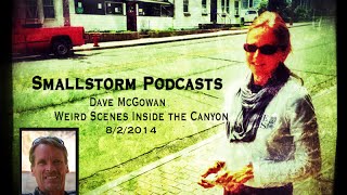 Sofia Smallstorm Interviews Dave McGowan