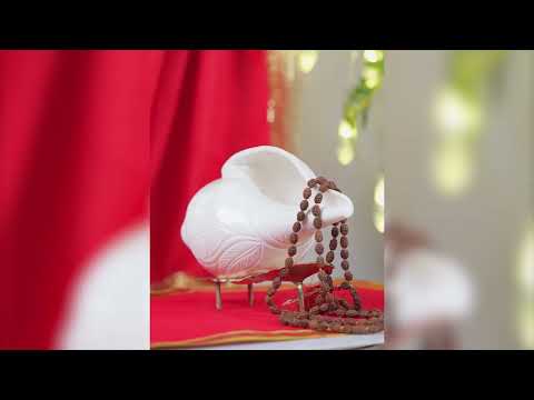 Bajanewala Wala Big SHANKHU Toward Off Evil Spirits Create a Divine Atmosphere video