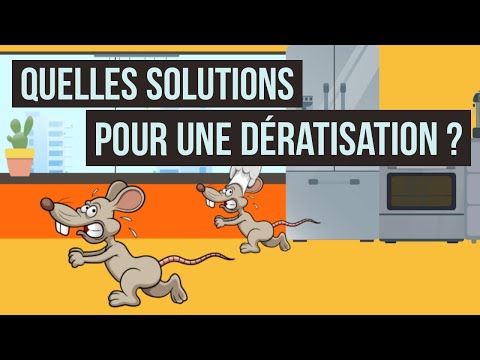 Solutions de dératisation à Corbas