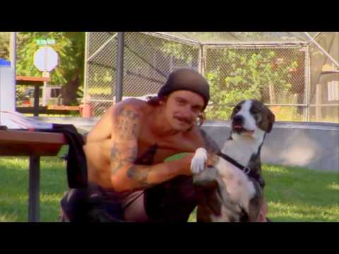 download lagu mp3 mp4 Tony Ellis, download lagu Tony Ellis gratis, unduh video klip Tony Ellis
