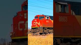 Canadian National Power Move in Plainfield #canadiannational #railway #train