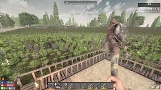 ほろ酔い　day to die