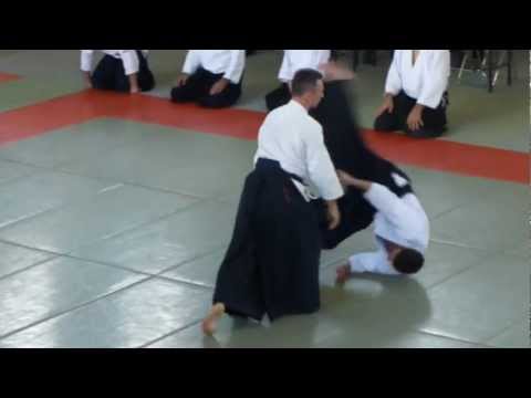 Aikido Saku Dojo Embukai 2012