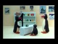Penguinphotographer Mov