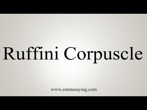 How To Say Ruffini Corpuscle