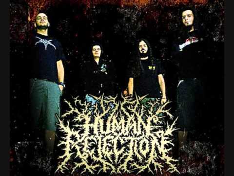 [[NEW]] best brutal death metal bands IV [NEW]