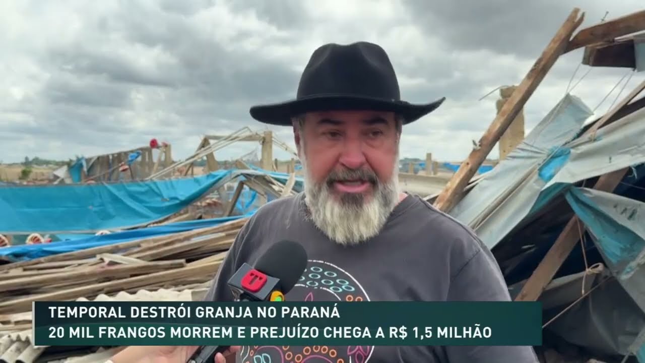 20 mil frangos morrem e prejuízo chega a R$ 1,5 milhão no Paraná