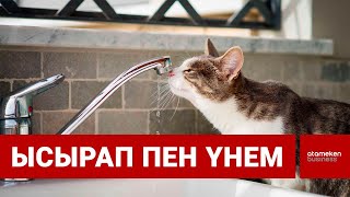 Судың шығыны жан басына шаққанда тәулігіне 3,5 мың литрге барады