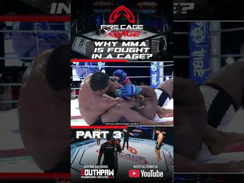 Why is MMA fought in a cage? | EP2 FUN FACTS