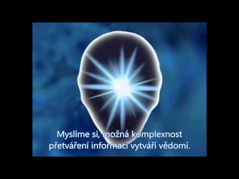 Peter Russell - Převaha vědomí (The Primacy of Consciousness)