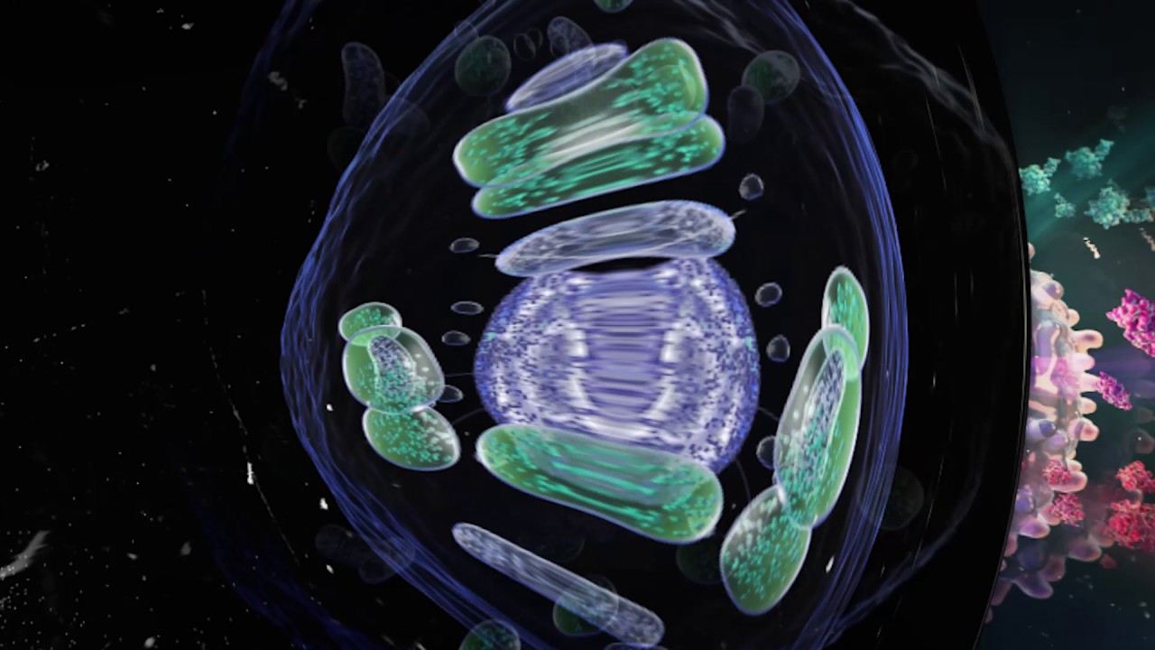 Creative Biomedical Visualization